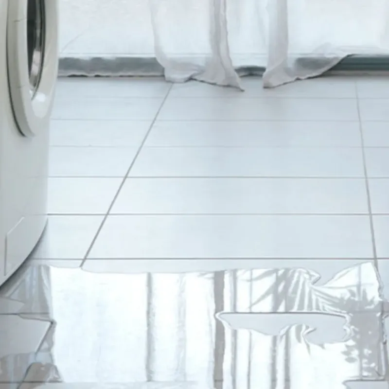 Appliance Leak Cleanup in Horatio, AR
